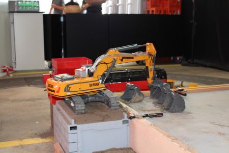 IMG_5555.jpg